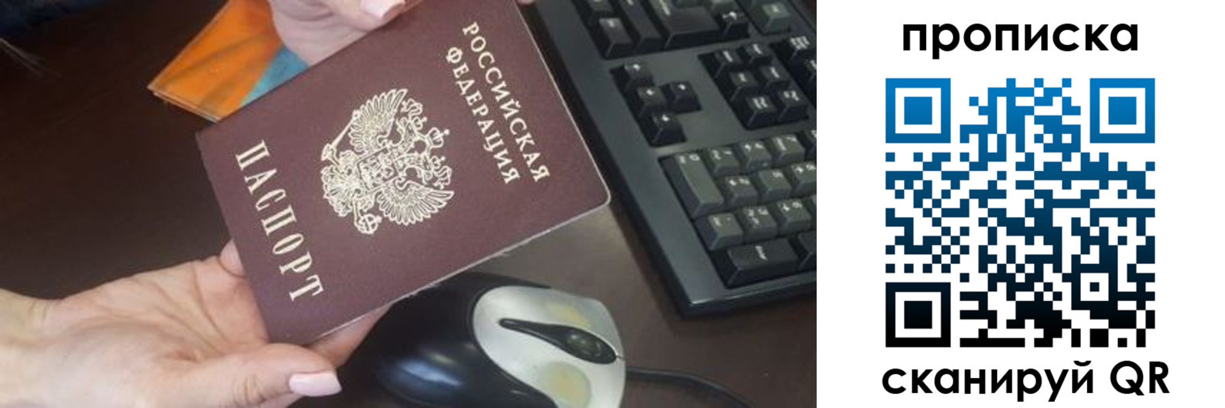 прописка гарантия в Читинской области